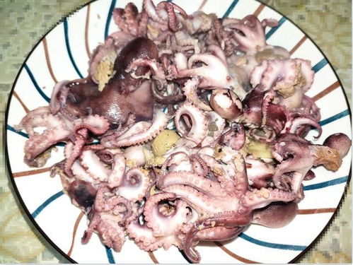 小八爪鱼最简单的做法