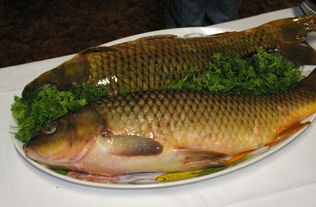 鲤鱼怎么做好吃?