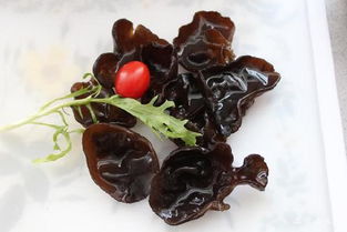 含铁高的食物有哪些