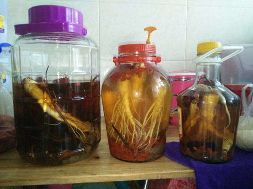 干人参如何泡酒?