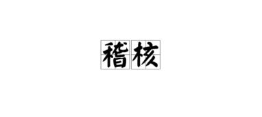 稽核是什么意思，财务稽核是什么意思