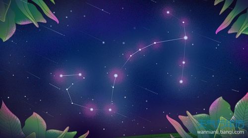 12星座的守护神兽是啥