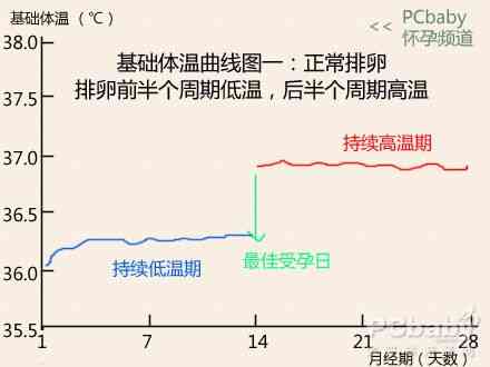 正常排卵基础体温图，正常排卵基础体温图口腔