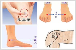 美容穴