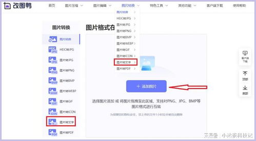 怎么把截图中的文字转换成word形式?