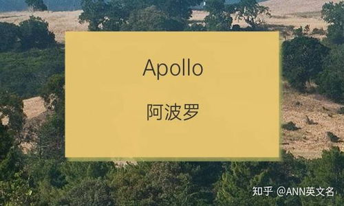 阳光帅气的男生英文名