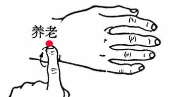 养老穴的准确位置在哪?