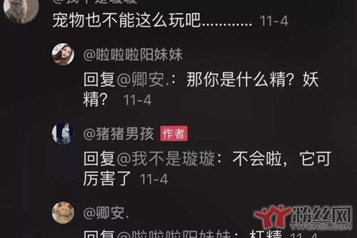 之是什么意思呀?