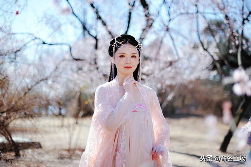 冰清玉洁的意思，冰清玉洁的意思和造句