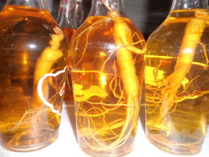 人参泡酒怎么泡 人参泡酒泡的方法