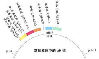 ph值是什么意思