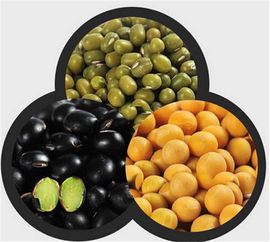 三豆饮什么时候喝最好