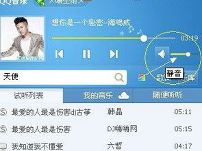 我的笔记本电脑突然放不出声音了,有没有高手知道是怎么回事,求解决办 