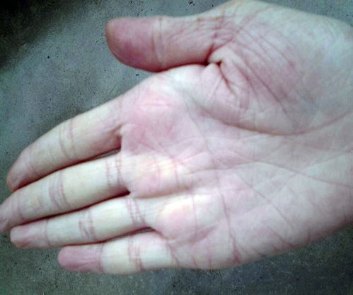 手相的三条线代表什么 三条线解析?