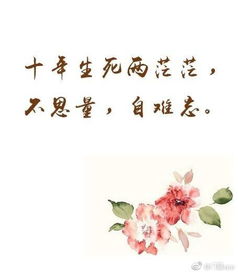 寄托思念之情的诗句