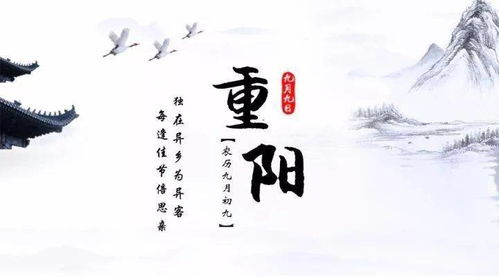九月九忆山东兄弟，九月九忆山东兄弟这首诗的诗意