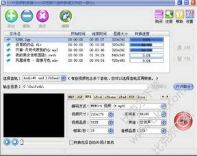 关于ts是什么文件?