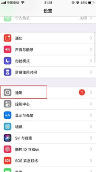 苹果手机上面的小圆点怎么设置
