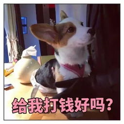 建国以后的妖怪为什么不许成精