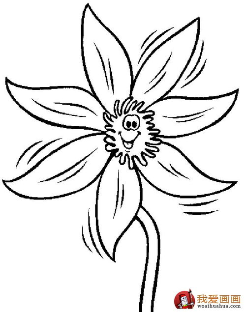 秋天的花简笔画