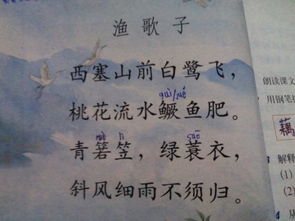 《渔歌子》全诗拼音