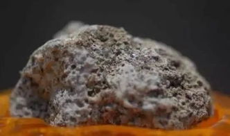 舍利子是什么东西科学解释?