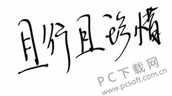 且行且珍惜什么意思