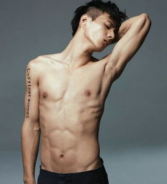 男模是什么意思