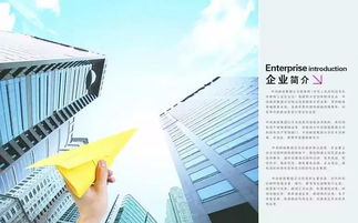 公司优势介绍范文