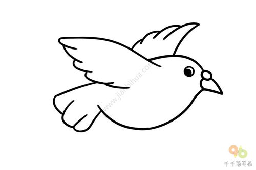 简笔画鸽子，简笔画鸽子的画法