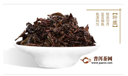 大红袍属于什么茶 大红袍是什么茶