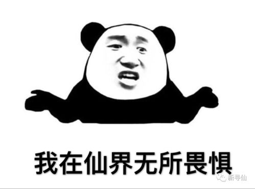 敷衍我什么意思?