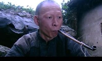 透是什么意思