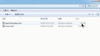 想问dat文件怎么打开