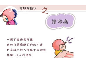 排卵期有什么特征，排卵期有什么特征身体变化
