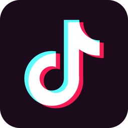 黑色抖音符号是什么意思