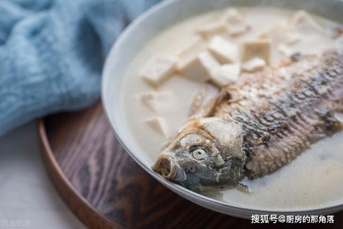 怎样炖鱼好吃又简单，怎样炖鱼好吃又简单视频教程