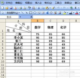 如何在excel表格中加斜杠线