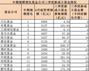 十大基金公司排名，前十大私募基金公司排名