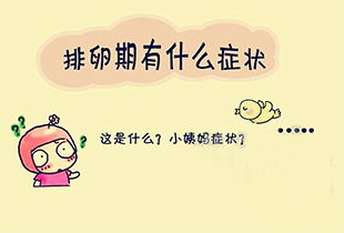 女生排卵期有什么特征 - 百度宝宝知道