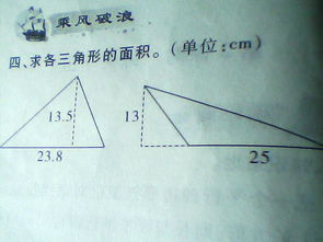 三角形的面积，三角形的面积公式小学