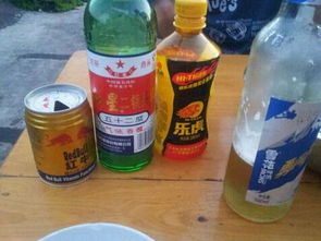白酒兑什么好喝，白酒兑什么好喝不伤身