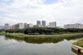 福建莆田为什么出名，福建莆田为什么出名呢