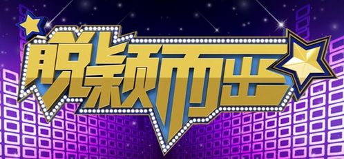脱颖而出的颖是什么意思