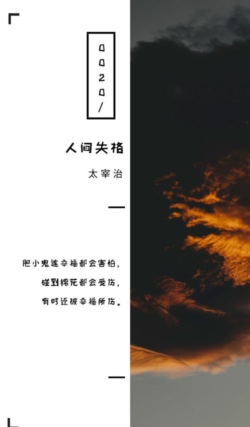 人间失格最触动人心的句子