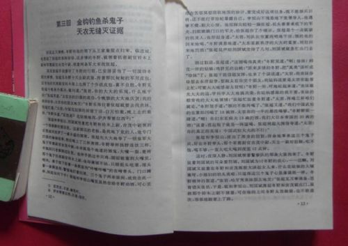 章回体小说是什么意思