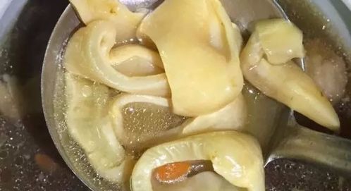 新鲜鱼胶怎么做好吃又简单