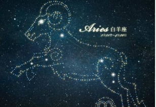 白羊座最配哪个星座