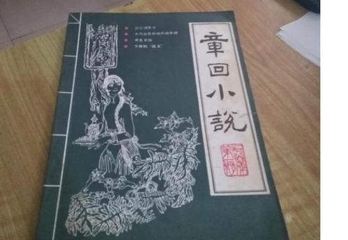 章回小说是什么意思?