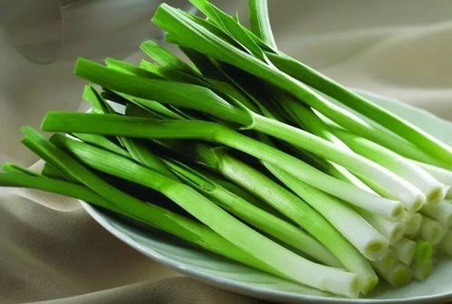 蒜苗怎么吃